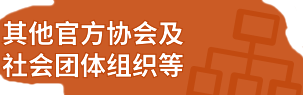 其他官方协会及社会团体组织等