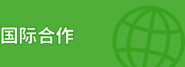 国际合作